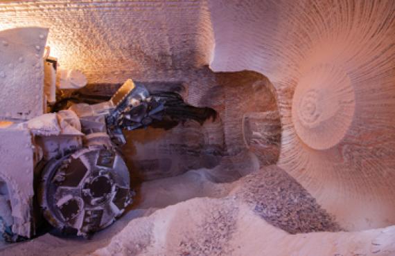 Extraction of the raw materials Extraction of the raw materials